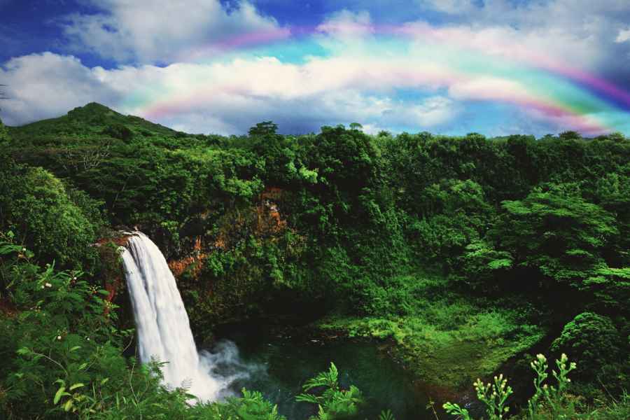Kauai: Filmschauplätze Tour. Foto: GetYourGuide