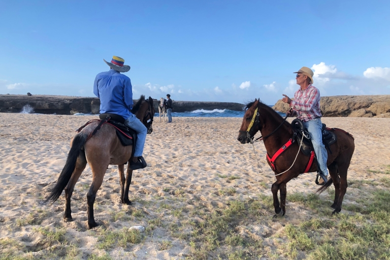 Aruba: paardrijtocht naar Wariruri Beach