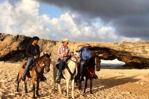 Aruba : balade à cheval sur la plage de Wariruri