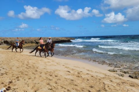 アルバ：ワリルリビーチへの乗馬ツアー