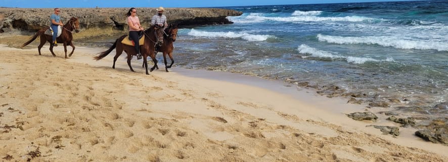 Aruba: Horseback Ride Tour to Wariruri Beach