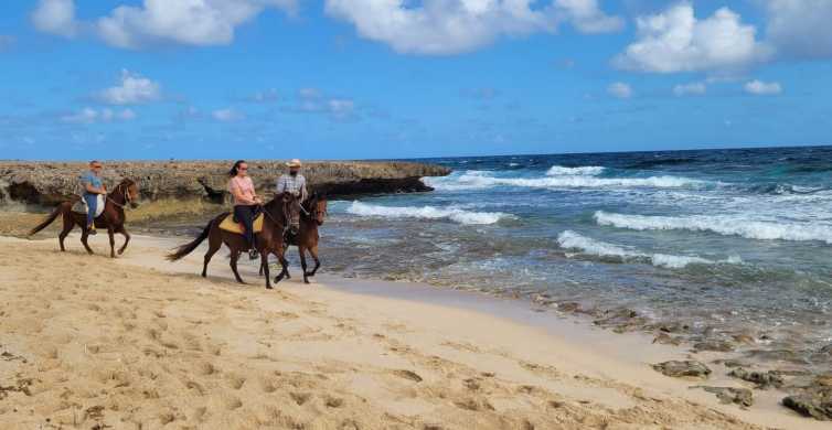 Aruba Horseback Ride Tour to Wariruri Beach GetYourGuide