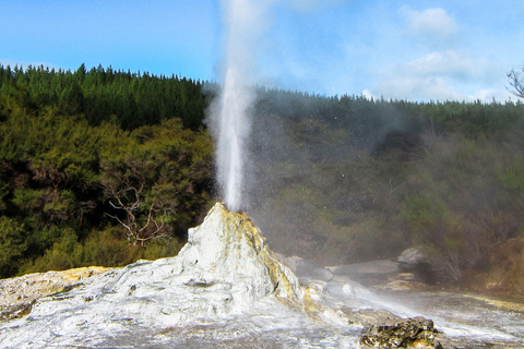 Tour privado: El rocoso Rotorua (Flexible)