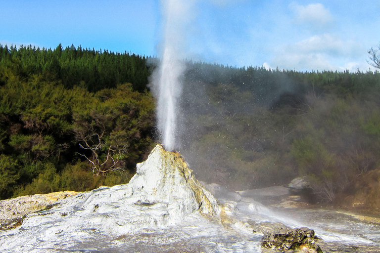 Tour privado: El rocoso Rotorua (Flexible)