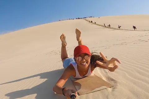 Moreton Island: Desert Safari Tour & Dolphin Viewing