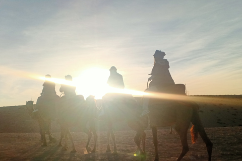 Da Marrakech: giro in cammello al tramonto nel deserto di Agafay