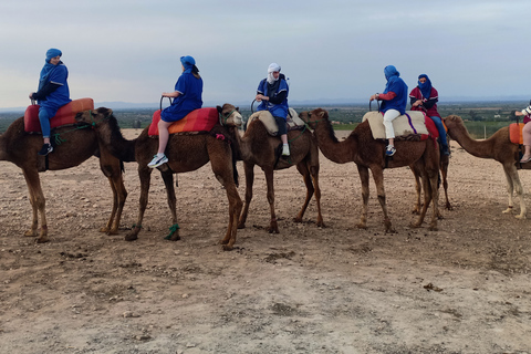 Desde Marrakech: paseo en camello al atardecer en el desierto de Agafay