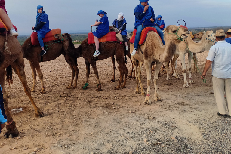 Van Marrakech: kameelrit bij zonsondergang in de Agafay-woestijn