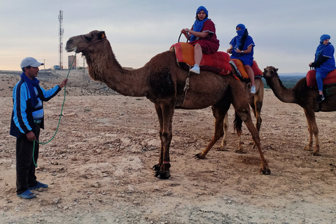 Da Marrakech: giro in cammello al tramonto nel deserto di Agafay