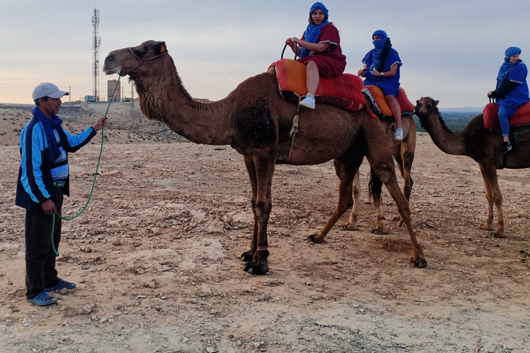 Da Marrakech: giro in cammello al tramonto nel deserto di Agafay