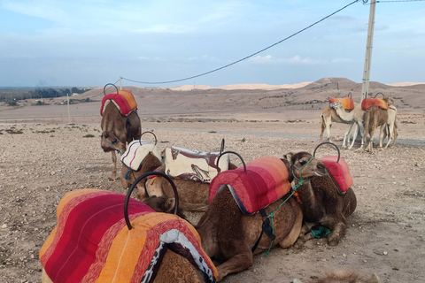 Desde Marrakech: paseo en camello al atardecer en el desierto de Agafay