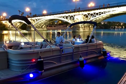 Seville: Private River Cruise with Dinner and Drinks