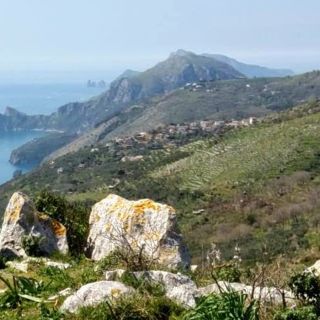 Sirenuses: Sorrento Peninsula Hiking Tour to Torca