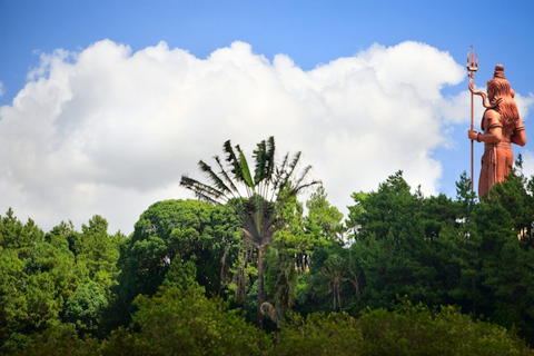 Chamarel: excursion guidée privée d'une journée dans le sud-ouest de l'île Maurice