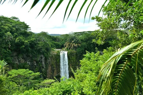 Chamarel : Visite guidée privée d'une journée dans le sud-ouest de l'île Maurice