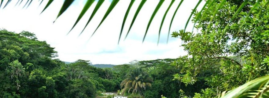 Chamarel : Visite guidée privée d'une journée dans le sud-ouest de l'île Maurice