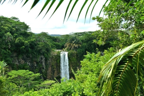 Chamarel: excursion guidée privée d'une journée dans le sud-ouest de l'île Maurice