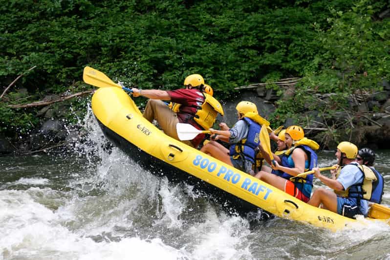 Pigeon Whitewater Rafting Tour in the Smokies GetYourGuide
