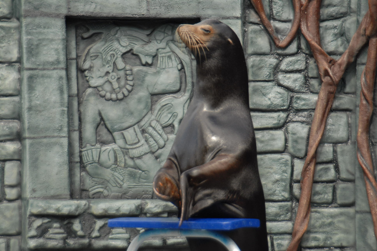 Cozumel: Sea Lion Program at Chankanaab Beach Adventure Park