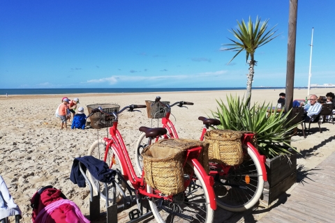 Cadix : visite privée avec tapas, dégustation de vins et location de vélos