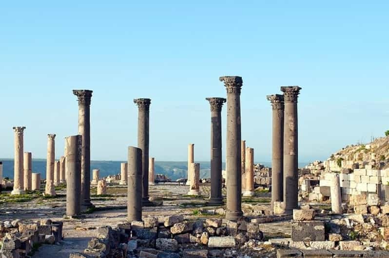 Amman Jerash Ajloun Och Umm Quais Heldagsutflykt Getyourguide