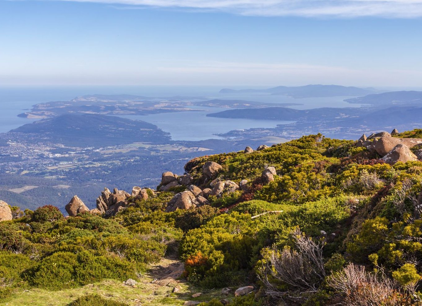 Hobart: Dagstur til Mt. Wellington og MONA med færgetur