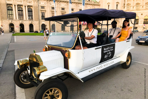 Viena: Tour turístico privado en coche eléctricoTour nocturno privado de 60 minutos (con bebidas)