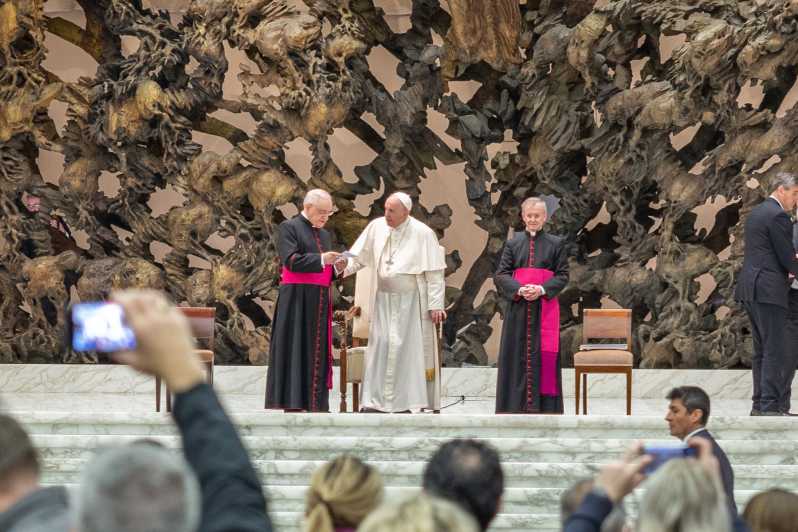 Vatican City: Papal Audience, Sistine Chapel, & Museum Tour