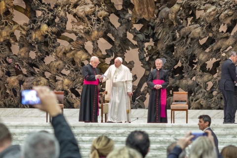Watykan: audiencja papieska, Kaplica Sykstyńska i zwiedzanie muzeum