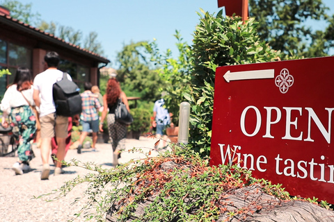 De Florença: Tour do vinho Chianti com degustaçõesEspanhol - experiência de degustação de vinhos à tarde