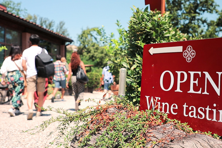 De Florença: Tour do vinho Chianti com degustaçõesEspanhol - experiência de degustação de vinhos à tarde