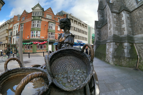 都柏林：都柏林市亮点私人导游徒步之旅意大利语私人旅游