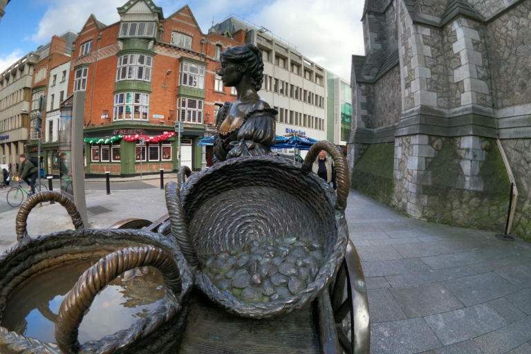 Dublin: Najważniejsze atrakcje Dublina Prywatna wycieczka piesza z przewodnikiemPrywatna wycieczka po Dublinie