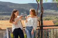 Verona, East Garda Privater Tagesausflug mit Weinprobe - Hizvo