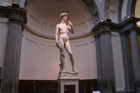 Von Rom aus: Florenz, die Accademia Galerie und Pisa Private TourTOUR PORTUGIESISCH
