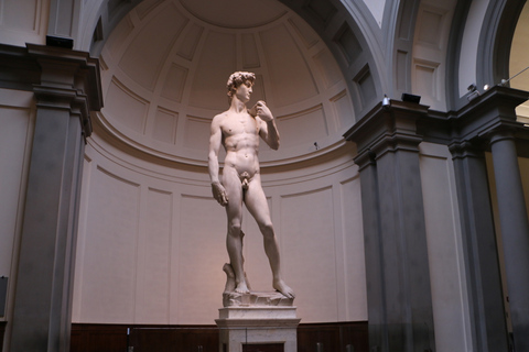 Von Rom aus: Florenz, die Accademia Galerie und Pisa Private TourTOUR PORTUGIESISCH