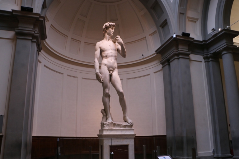 Desde Roma: recorrido privado por Florencia, la Galería de la Academia y PisaTOUR INGLÉS
