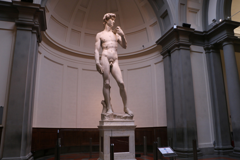 Von Rom aus: Florenz, die Accademia Galerie und Pisa Private TourTOUR ENGLISCH