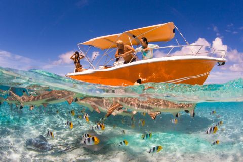 Bora Bora: 3 Hour Private Lagoon Cruise
