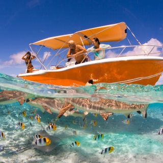 Bora Bora: 3 Hour Private Lagoon Cruise