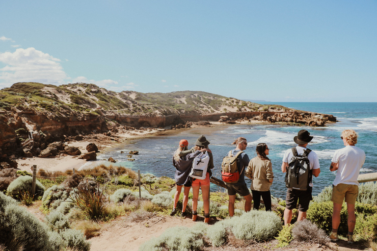 Mornington Peninsula Paddle, Pinot & Pools - Día completoDesde Melbourne: tour privado de día completo por la península de Mornington