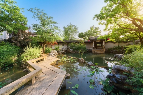 Suzhou: Gardens and Tongli or Zhouzhuang Water Town Private Tour including Entry tickets and lunch