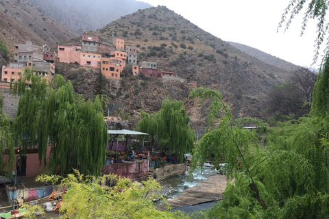 From Marrakech: Ourika Valley in High Atlas Mountains Tour