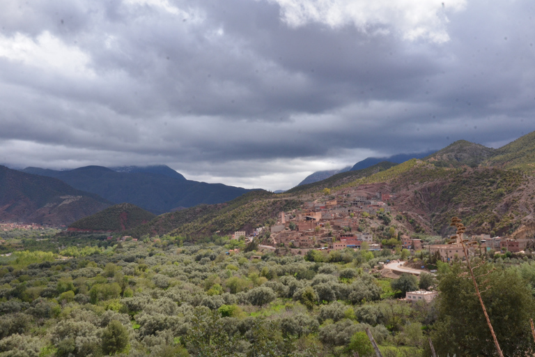 From Marrakech: Ourika Valley in High Atlas Mountains Tour