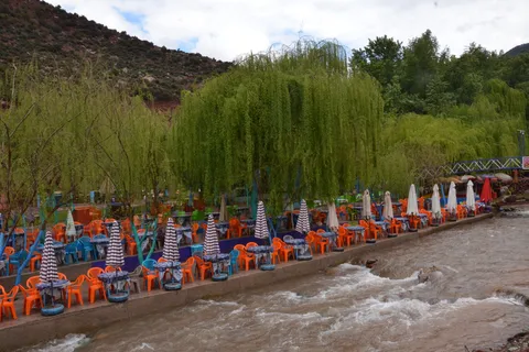 Da Marrakech: Escursione di un giorno nella Valle di Ourika con pranzo