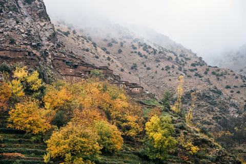 Ab Marrakesch: Berber-Kochkurs im Hohen Atlas