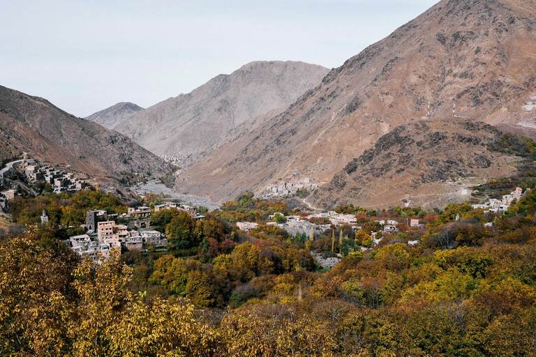 Ab Marrakesch: Berber-Kochkurs im Hohen Atlas