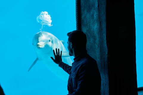 Benidorm: Mundomar Animal Park Entrance Ticket Benidorm: Mundomar Animal Park Afternoon Ticket