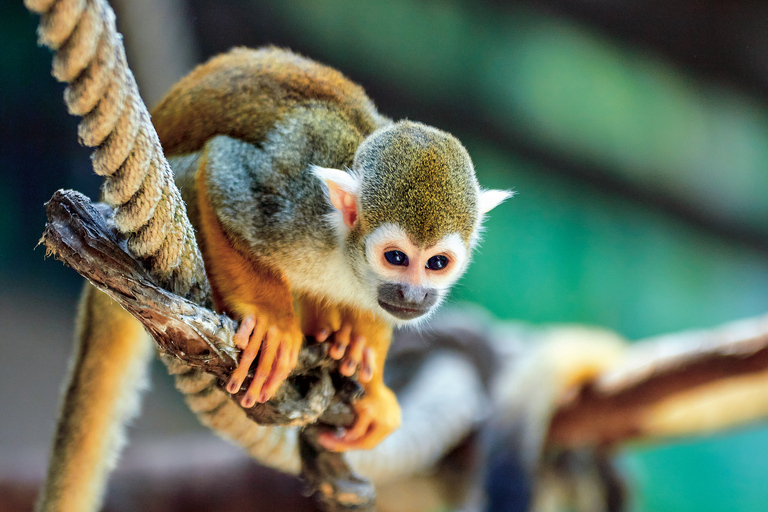 Benidorm: Mundomar Animal Park Entrance Ticket Benidorm: Mundomar Animal Park Afternoon Ticket