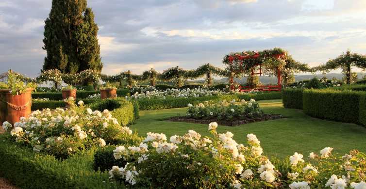 Salignac-Eyvigues: Gardens of Eyrignac Manor -pääsylippu